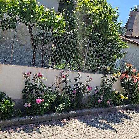 Aliaj Guest House Μπεράτ Εξωτερικό φωτογραφία